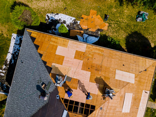 Best Flat Roof Repair Services  in Brooksville, FL